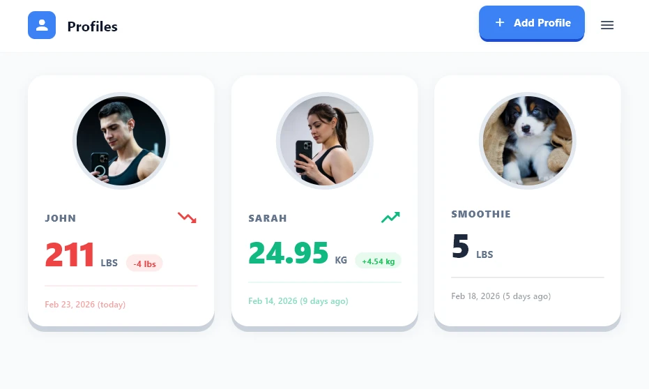 Kiilos Profiles Mockup